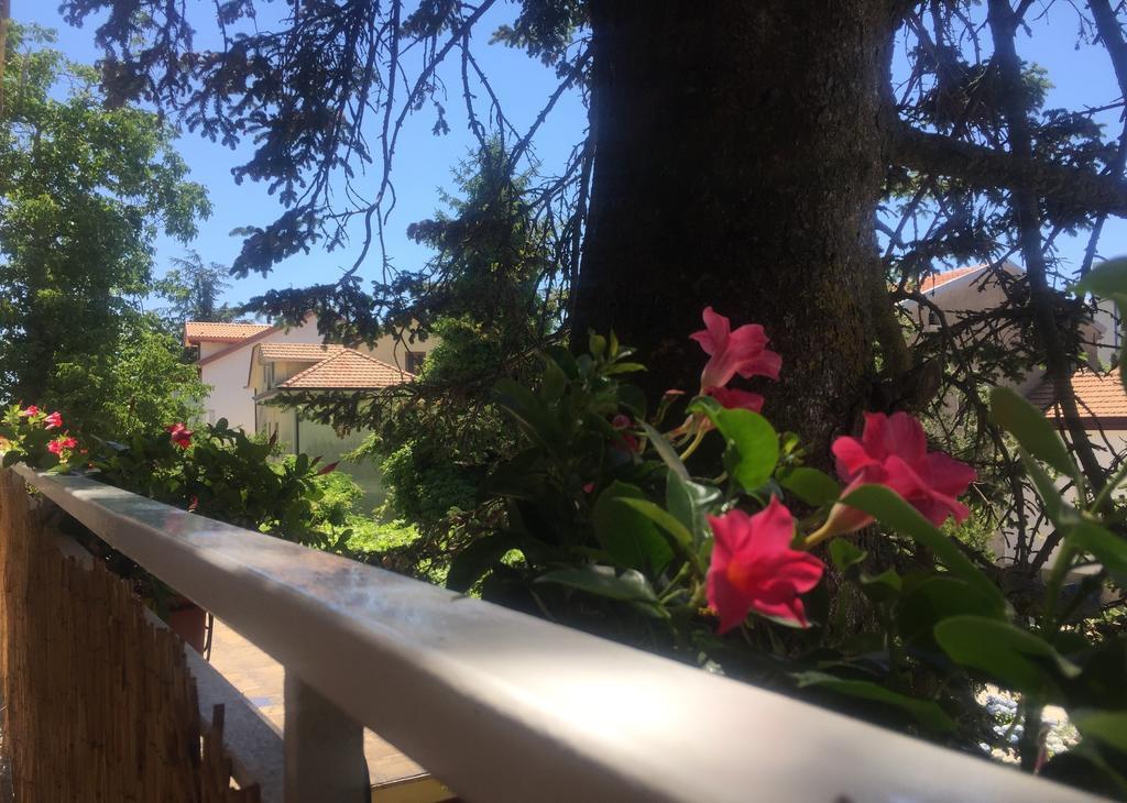 New Royal Bed & Breakfast Agerola Ngoại thất bức ảnh